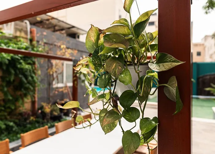 Maison d'hôtes 10 At Palazzo Seraphim Boutique Living In St Julians