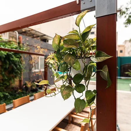 Guest house 10 At Palazzo Seraphim Boutique Living In St Julians